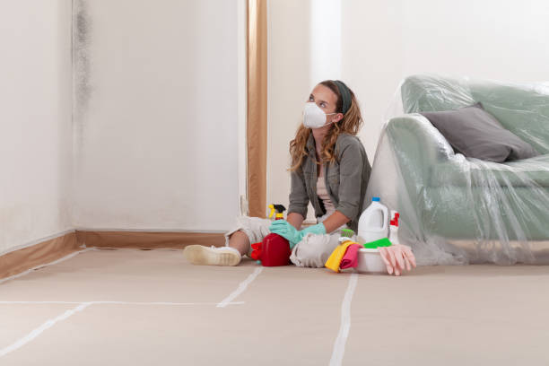 Reliable Mold Removal contractor in Harrellsville, NC by Car Mold Remediation